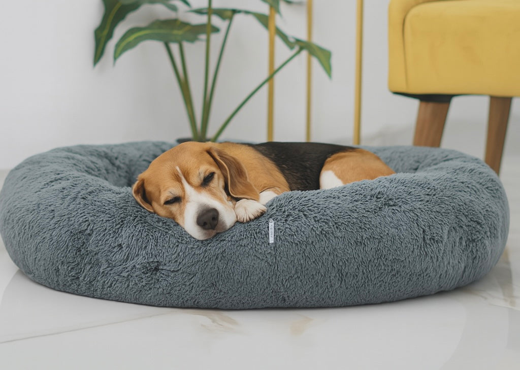 Cama Antiestrés para Perros